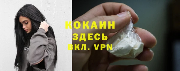 стаф Аркадак