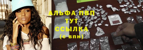 стаф Аркадак